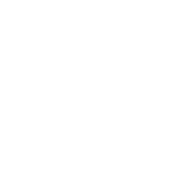 Red Level Enterprise Workflow
