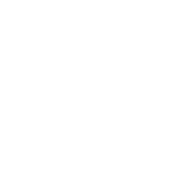 Red Level Website Development